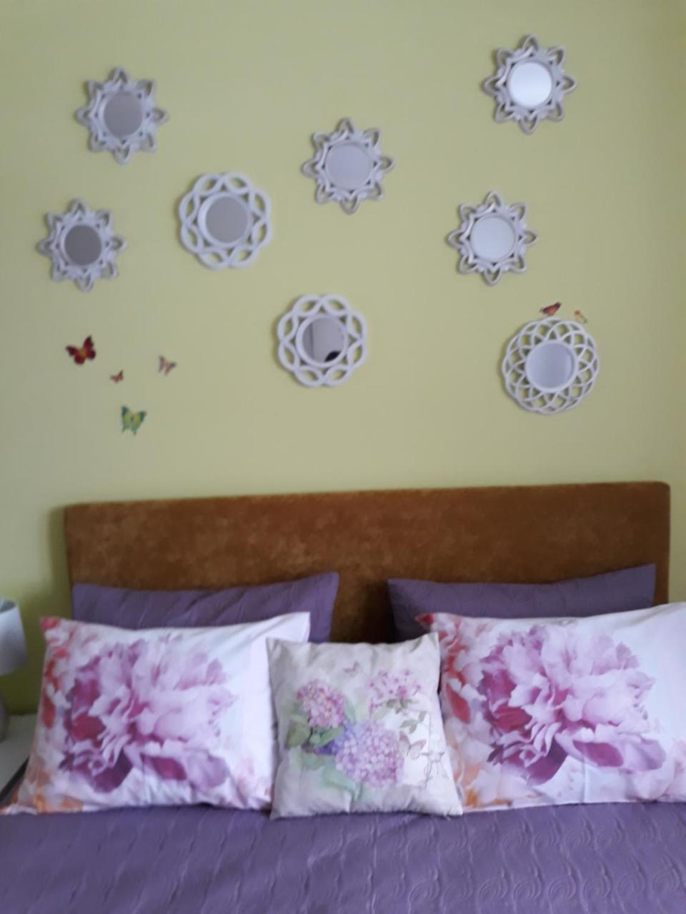 Sweet Butterflies Residence บราชอฟ ภายนอก รูปภาพ